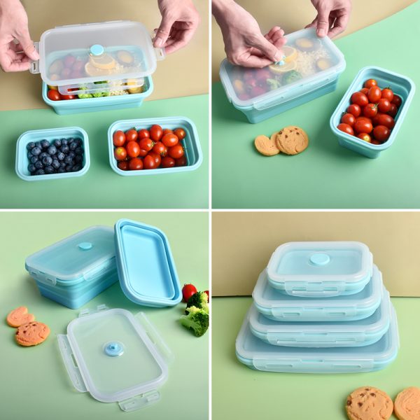 Folding preservation box - Image 3